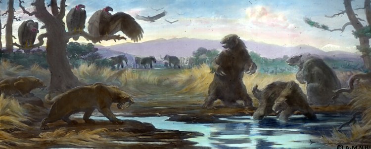 Imagined scene from the La Brea Tar Pits area of Los Angeles. (Painting by Charles R. Knight from a mural at the American Museum of Natural History, New York)