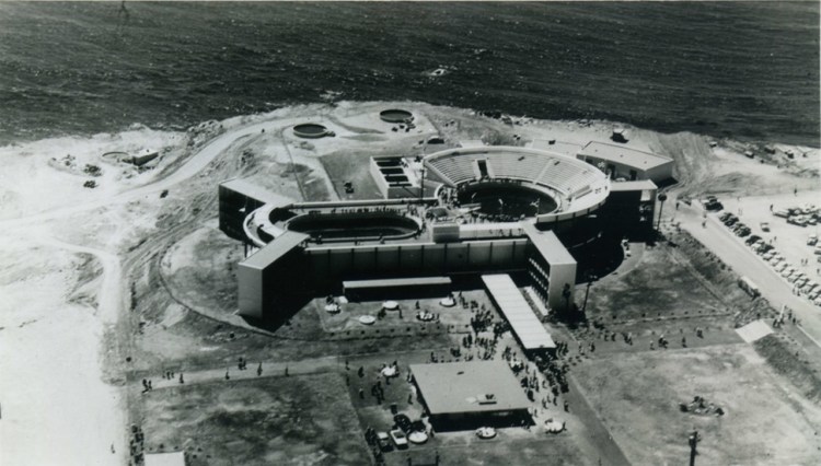Undated aerial file photo shows Marineland in the mid-1950s.