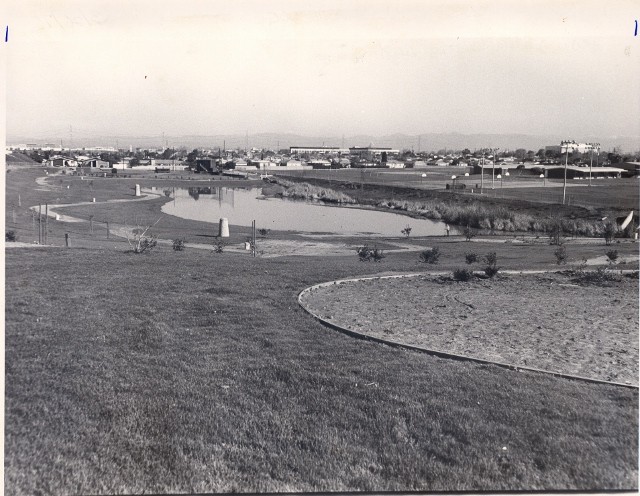 Before and after: Daily Breeze staff photo, above, shows Polliwog Park on Feb. 11, 1976, a few days before its official dedication. A similar view is shown below in a Daily Breeze photo taken in July 2013.