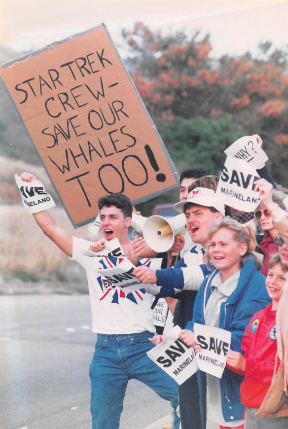 Protesters decry the closing of Marineland outside the gates of the park on Feb. 12, 1987. Daily Breeze file photo.