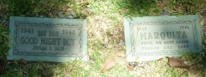 Two of the older graves at Pet Haven. (June 2015 Daily Breeze photo)