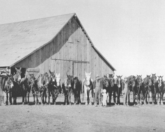 The red barn at its original location at the Phillips Ranch House. Photo courtesy City of Rolling Hills Estates / Mayor Frank Zerunyan.