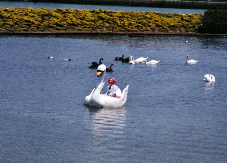 Hollywood Park's Goose Girl patrols an infield lake at the track in Miz Clementine, her special boat. (Daily Breeze file photo)