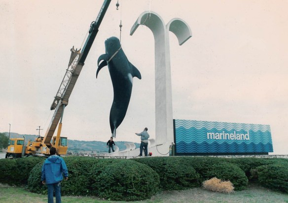 The statue based on Bubbles the pilot whale at the entrance to Marineland is removed in this March 6, 1987 Daily Breeze file photo.