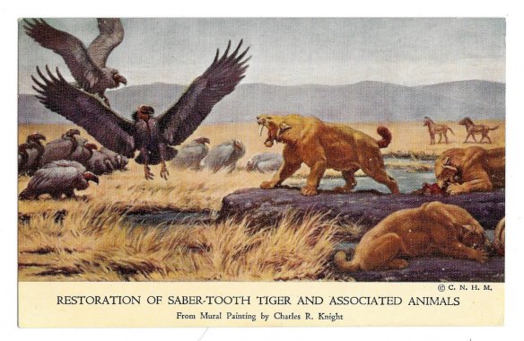 sabertoothpostcard