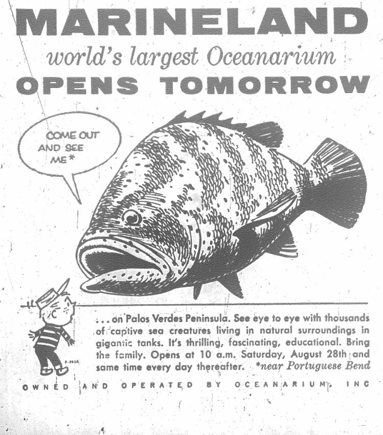 A Daily Breeze advertisement for Marineland of the Pacific from the Aug. 27, 1954 edition.