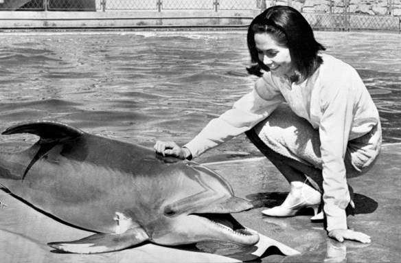 Nancy Kwan gets acquainted with a friendly porpoise called "Smiley" at Marineland in Hollywood, California on March 10, 1964. Kwan was there to film scenes for her film "Fate is the Hunter". (AP Photo)