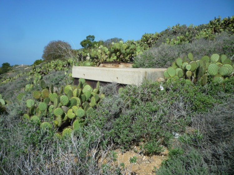 Hillside bunkers such as this one near Long Point in Rancho Palos Verdes served as control stations and observation posts for the gun installations along the coast.  (March 2014 Daily Breeze photo)