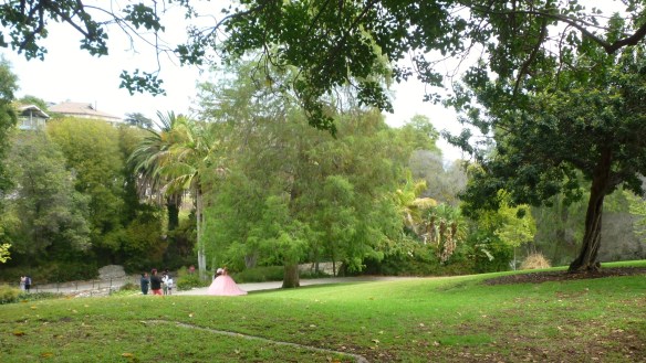 A young girl poses in her pink for photos in her quinceanera dress in Averill Park in San Pedro. (June 2016 Daily Breeze photo)