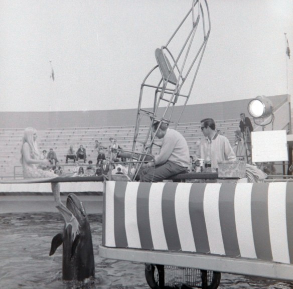 Actress Susan Henning portrays a mermaid during filming of the 1968 Elvis Presley film, "Live a Little, Love a Little." Daily Breeze file photo.