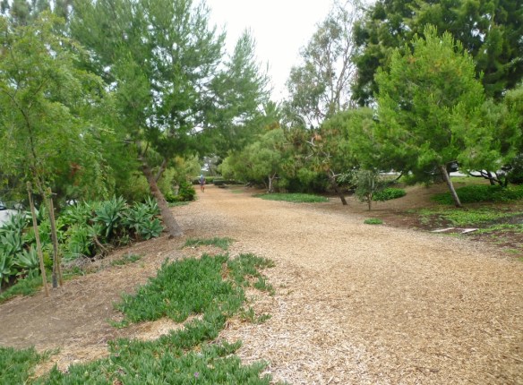 Veterans Parkway in Manhattan Beach. (June 2015 Daily Breeze photo)