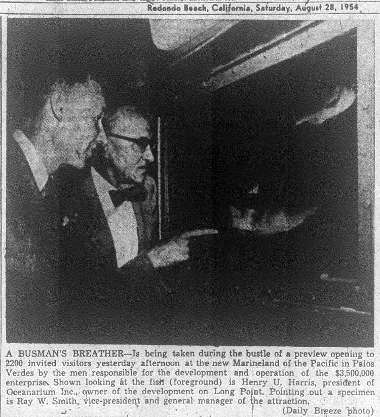 Oceanarium Inc. President Henry U. Harris, left, and Marineland general manager Ray Harris check out some fish during the park's preview day in this Daily Breeze front-page photo from Aug. 28, 1954.
