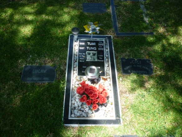 Pet Haven Cemetery. (June 2015 Daily Breeze photo)