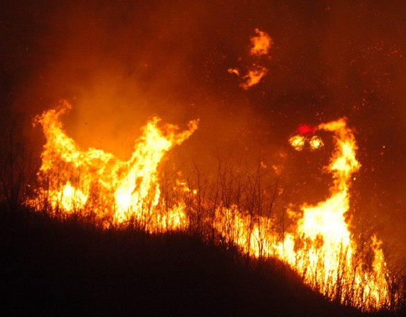The Palos Verdes Peninsula fire of Aug. 28, 2009, as viewed from Del Cerro Park. File photo. (Steve McCrank / Staff Photographer)