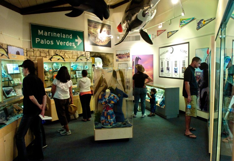 The Point Vicente Interpretive Center's Marineland exhibit displays memorabilia, signs and photos show the history of the sea aquarium during its 33-year run in RPV. Daily Breeze file photo.